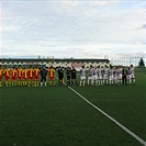 FK Viktoria Žižkov B - FC Tempo Praha 7:2